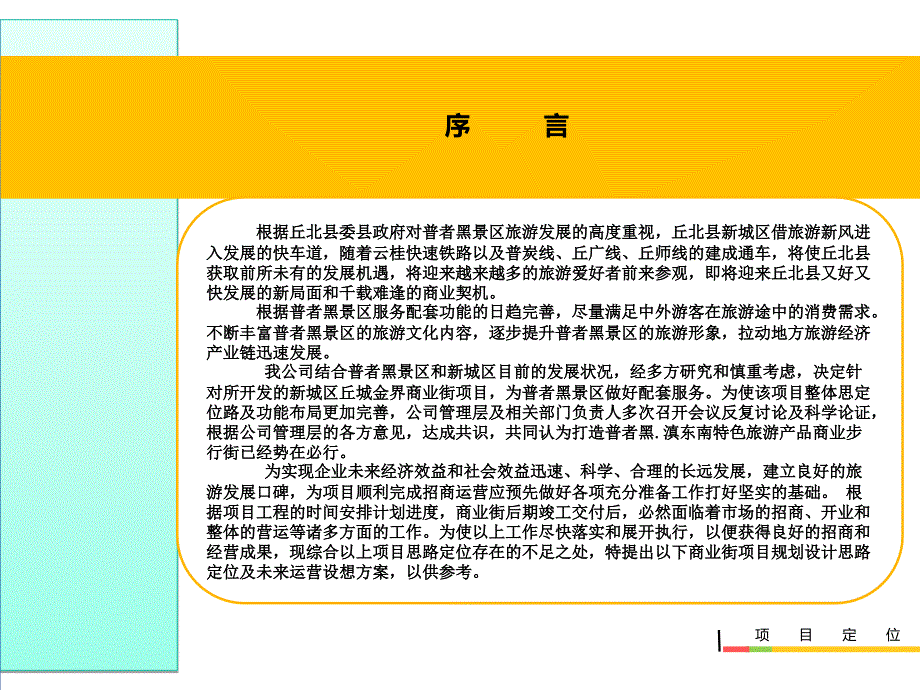 商业步行街项目整体定位及运营思路_第3页