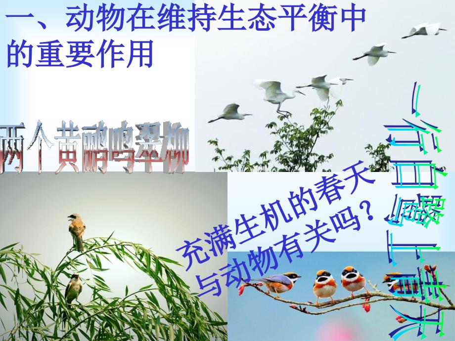 第三章_动物在生物圈中的作用_第4页