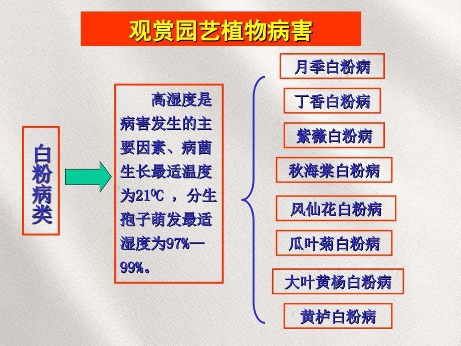 观赏植物病害各论简化版_第5页