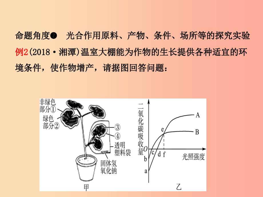 山东省淄博市2019中考生物 第三单元 第四章 第五章 第六章复习课件.ppt_第4页