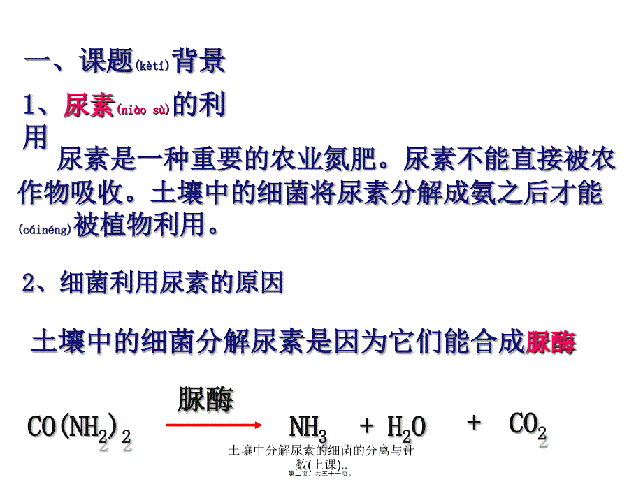 土壤中分解尿素的细菌的分离与计数(上课)..课件_第2页