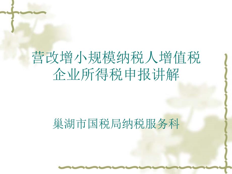 营改增小规模纳税人增值税企业所得税申报讲解巢湖市国税局_第1页