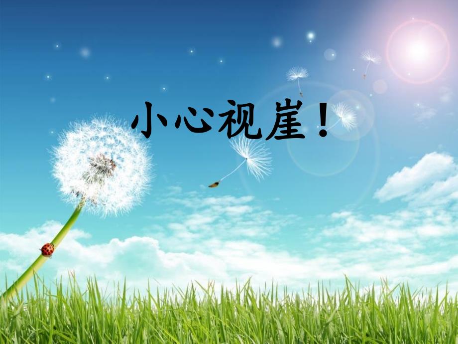 “视崖”实验ppt课件_第1页