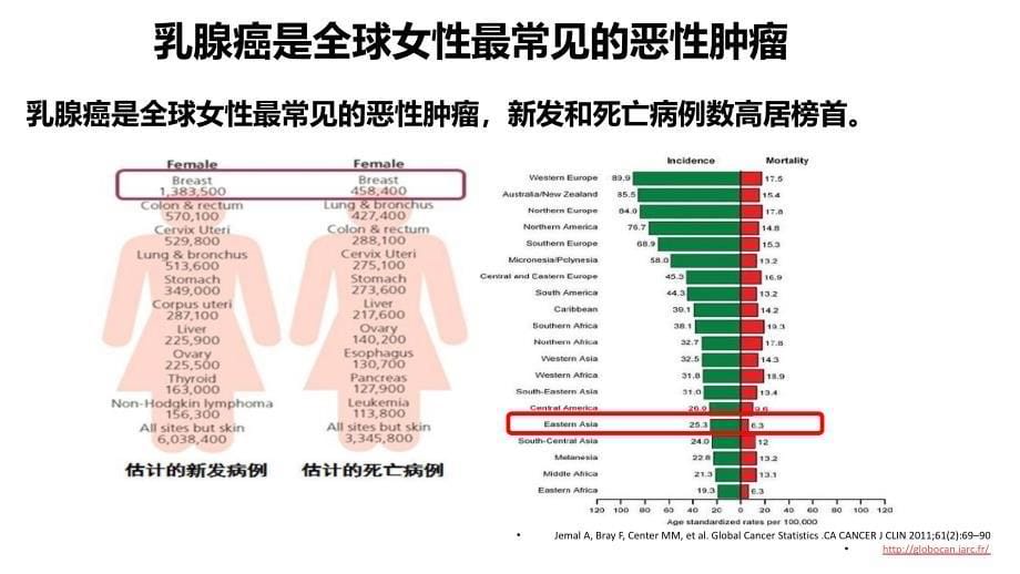 乳腺癌流行病学分析.ppt_第5页