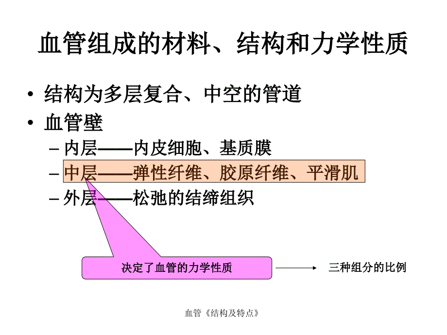 血管结构及特点_第3页