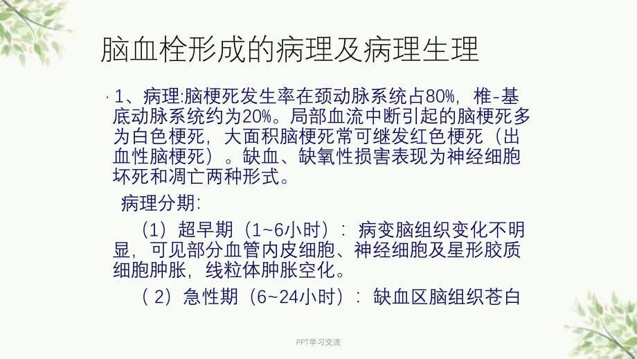 急性脑梗死的诊断及处理ppt课件_第5页