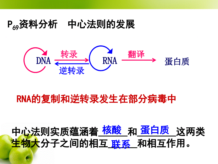 基因对性状的控制PPT课件_第4页