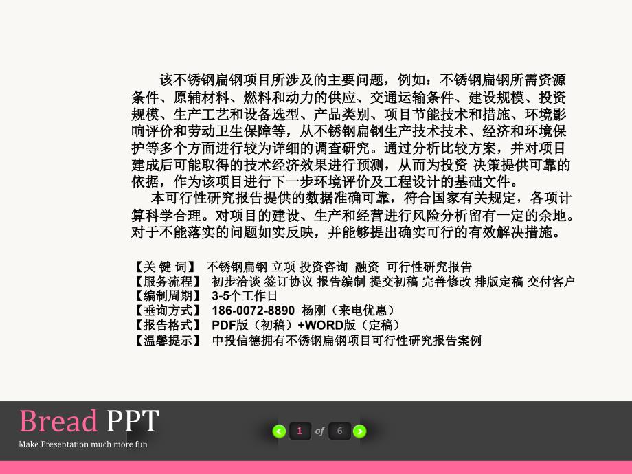 不锈钢钢项目可行性研究报告_第2页