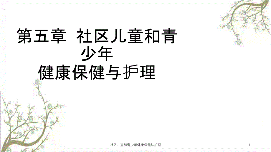 社区儿童和青少年健康保健与护理课件_第1页