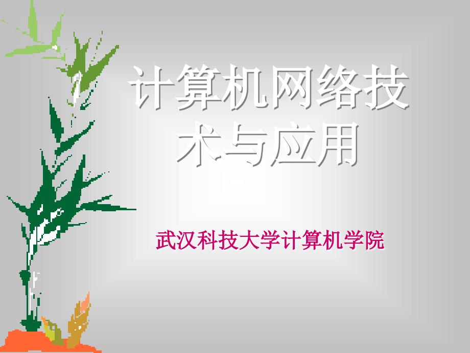 计算机网络技术与应用_第1页