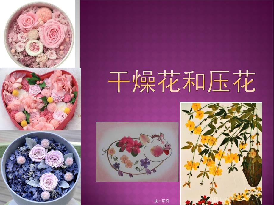 干花和压花技术材料_第1页
