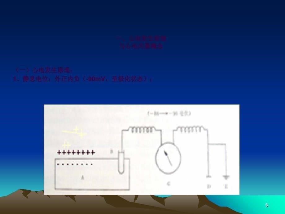 临床心电图基础知识ppt课件_第5页