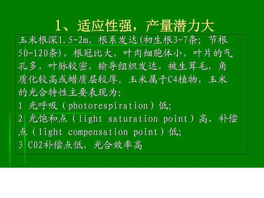 《玉米栽培技术》PPT课件_第4页