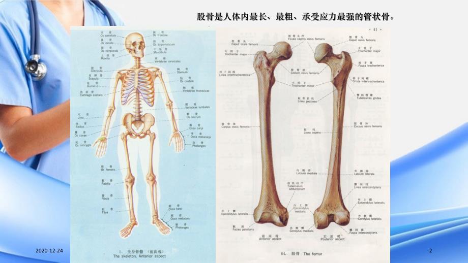 股骨干骨折护理精选干货_第2页