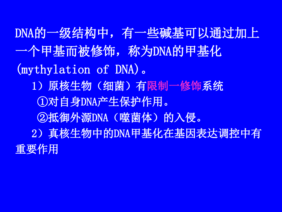 遗传的物质基础DNA_第4页