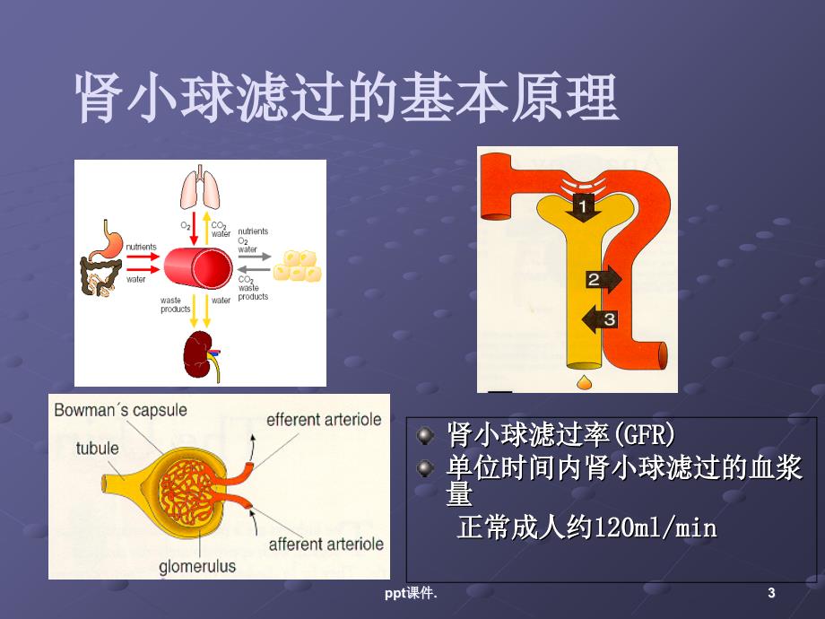 CVVH治疗剂量计算及选择ppt课件_第3页