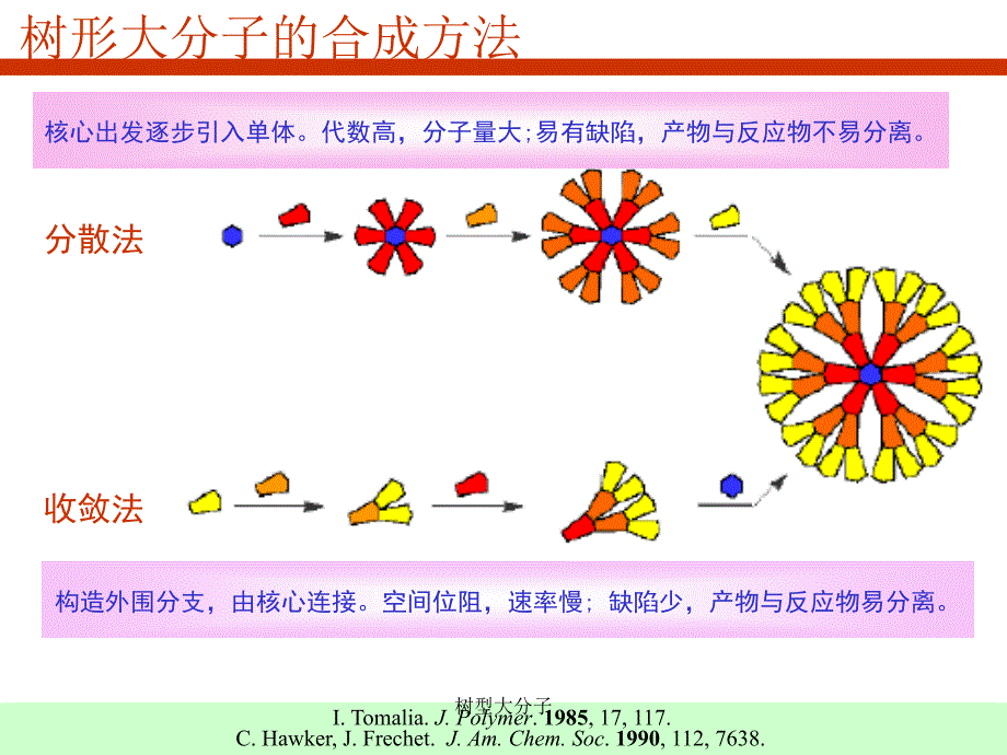 树型大分子课件_第4页