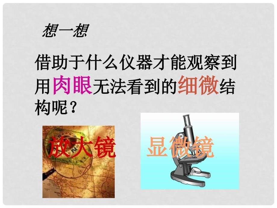 江西省永丰县恩江中学七年级生物上册 1.1 走进生物实验室课件 （新版）冀教版_第5页