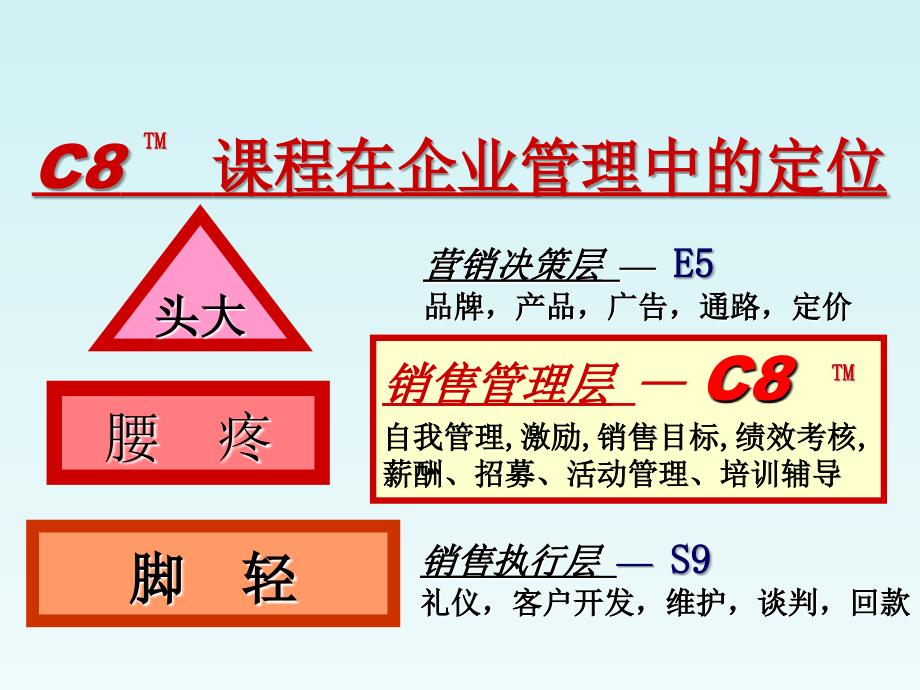 销售人才甄选与团队打造培训_第4页