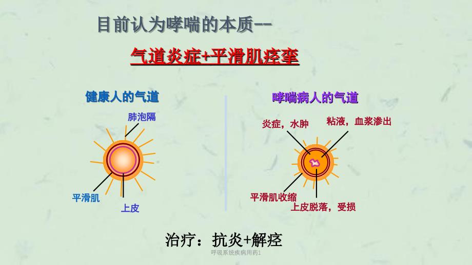 呼吸系统疾病用药1课件_第4页