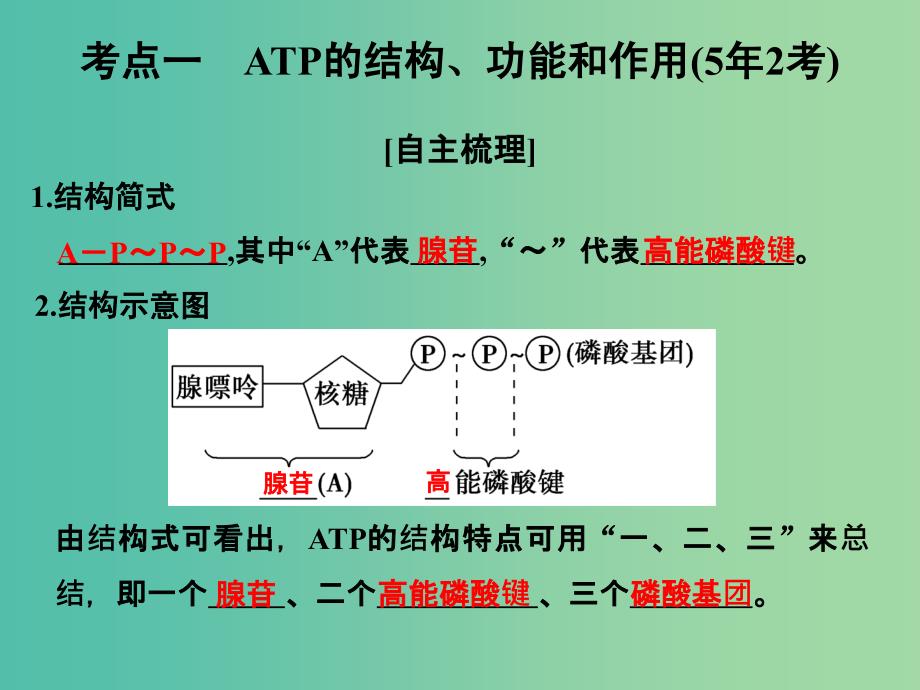 高考生物一轮复习 第3单元 细胞的能量供应和利用 第9讲 ATP与细胞呼吸课件 新人教版.ppt_第2页