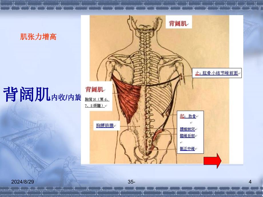 痉挛型脑瘫的康复的支点反馈反馈控制提示触觉与痉挛的关系文档资料_第4页