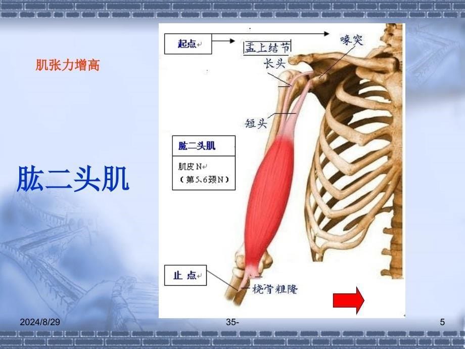 痉挛型脑瘫的康复的支点反馈反馈控制提示触觉与痉挛的关系文档资料_第5页