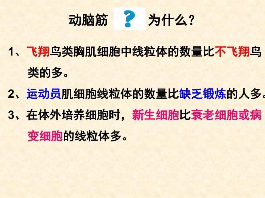 生物课件——第二节 细胞器系统内的分工合作 授课课件_第5页