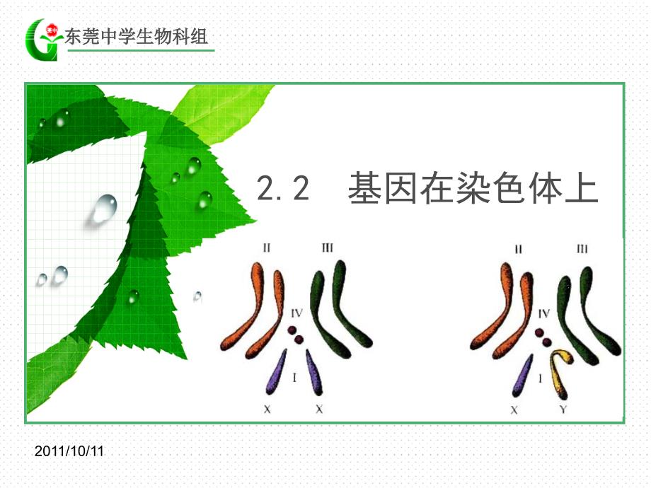 22基染色体上_第1页