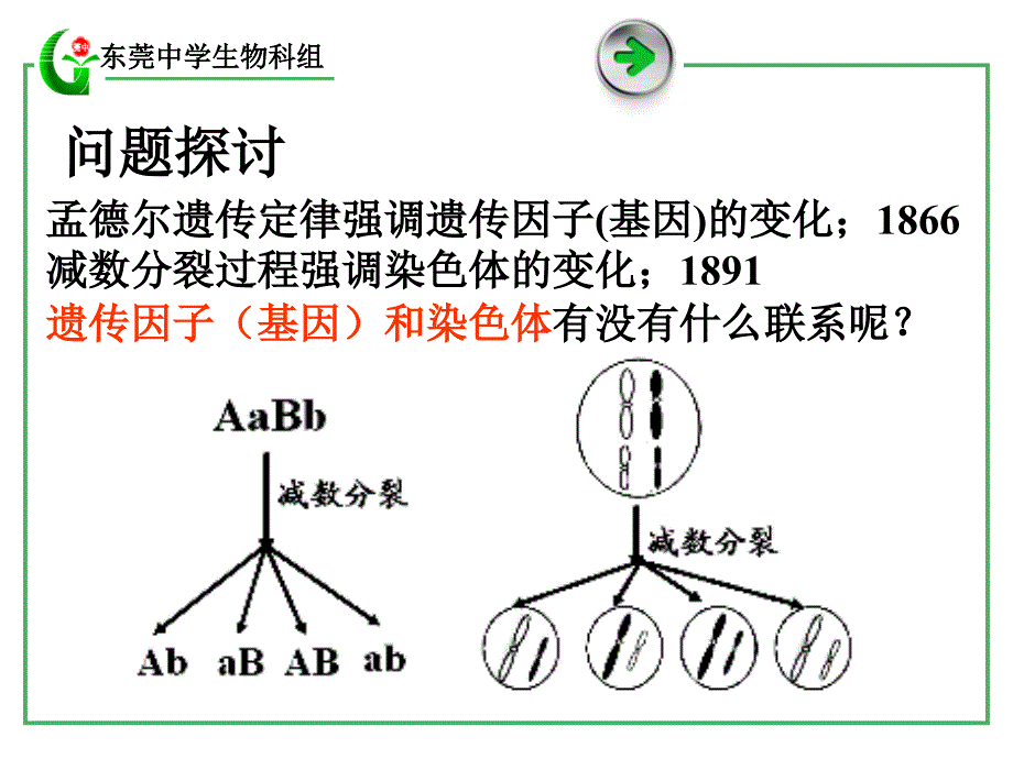 22基染色体上_第3页