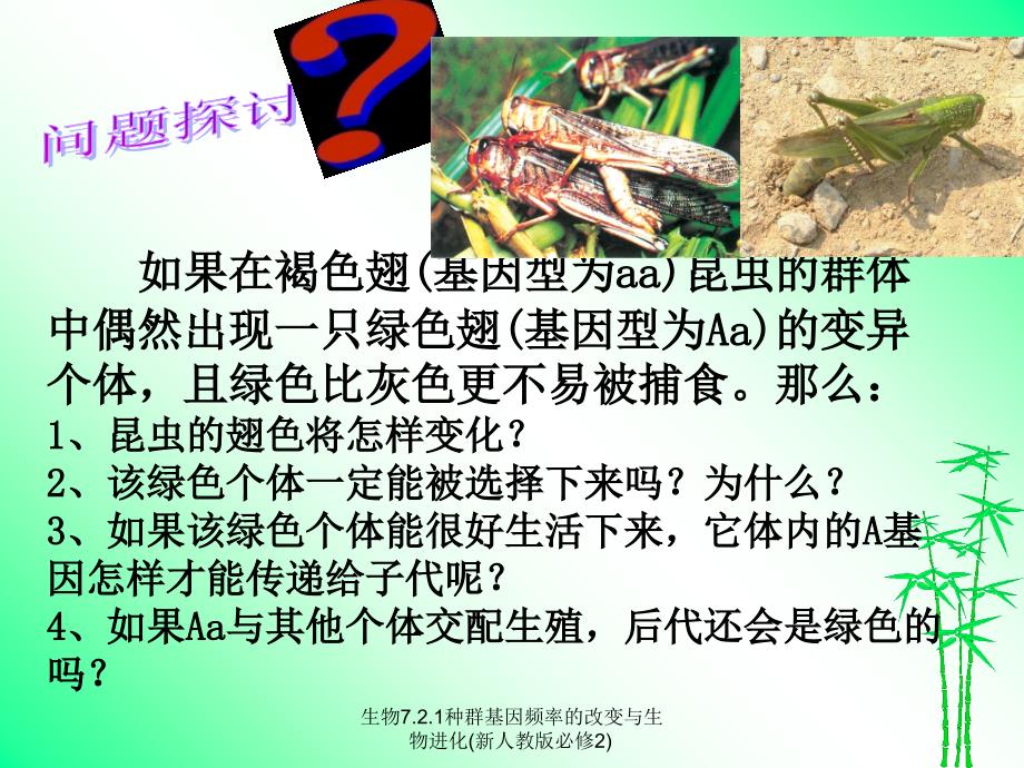 生物7.2.1种群基因频率的改变与生物进化新人教版必修2课件_第2页