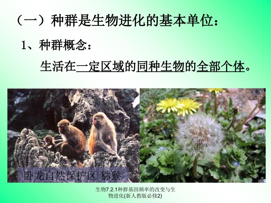 生物7.2.1种群基因频率的改变与生物进化新人教版必修2课件_第3页