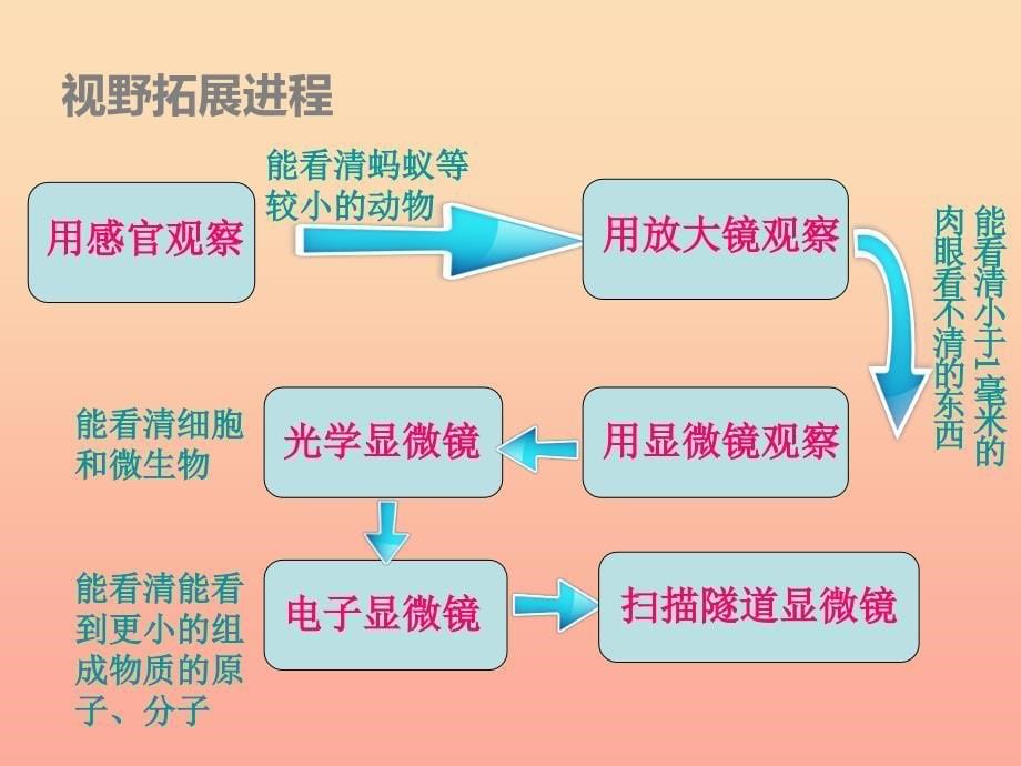 六年级科学下册 第一单元 微小世界 8 微小世界和我们课件 教科版.ppt_第5页