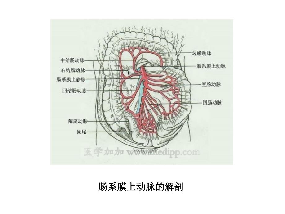 肠道缺血性疾病的CT诊断_第3页