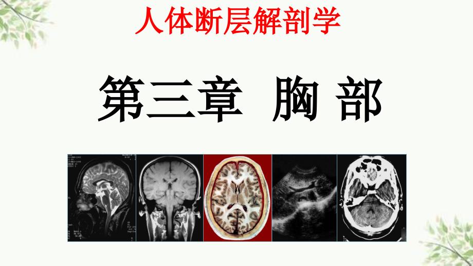 胸部断层解剖第一节概述最终ppt课件_第2页