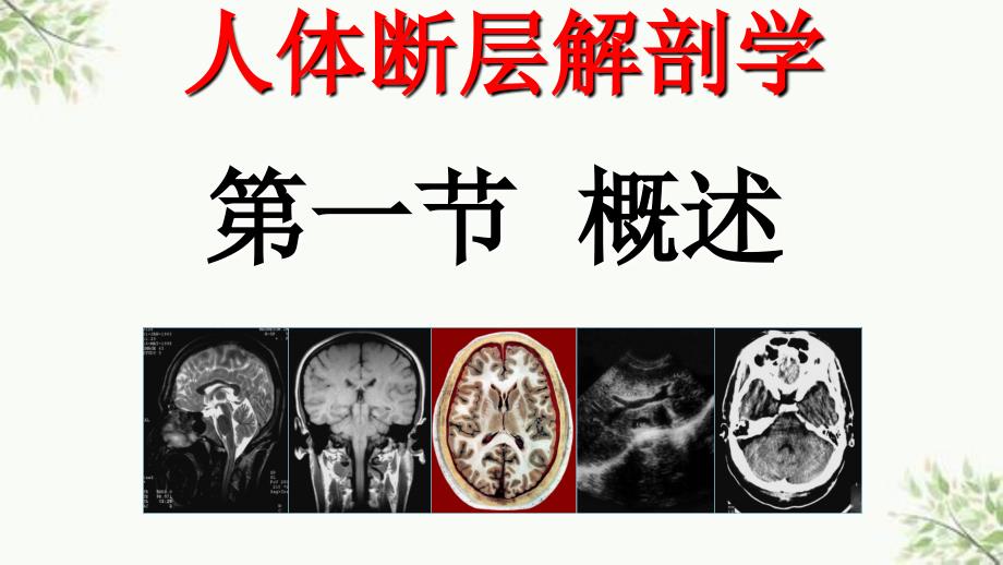 胸部断层解剖第一节概述最终ppt课件_第3页