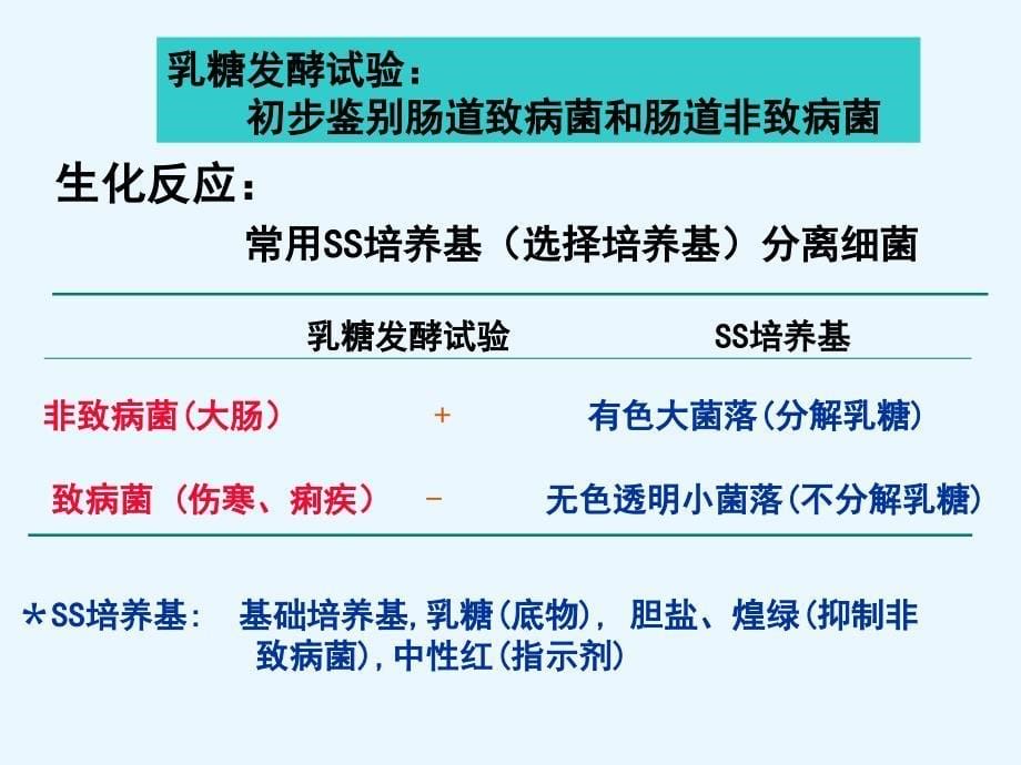 10肠道感染性细菌PPT课件_第5页