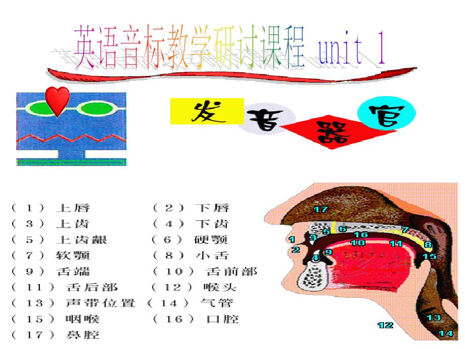 48个英语音标教学课件_第2页