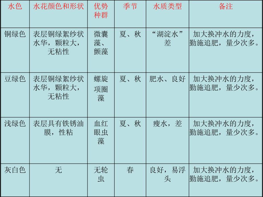 养殖水体菌藻相课件.ppt_第4页