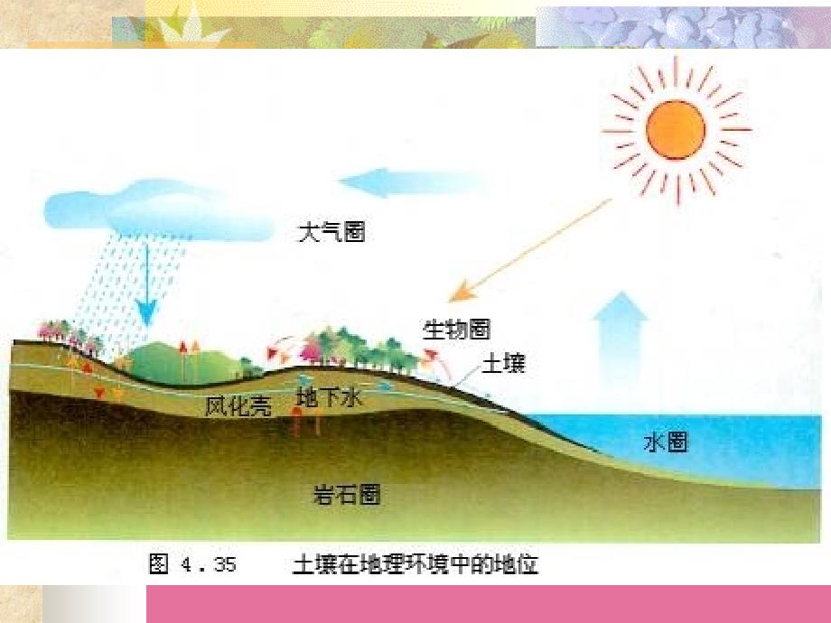 土壤的概念及其在地理环境中的作用ppt课件_第3页