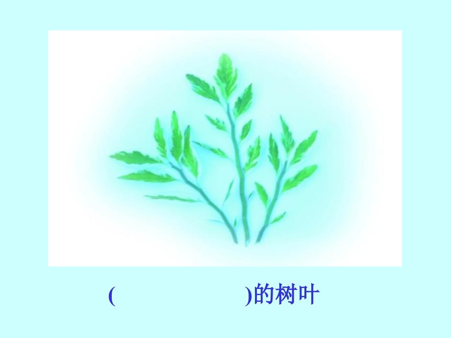 19《蓝色的树叶》课件PPT_第3页