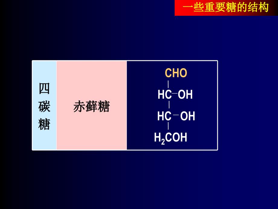 多糖降解PPT精选文档_第3页