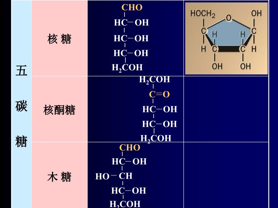 多糖降解PPT精选文档_第4页