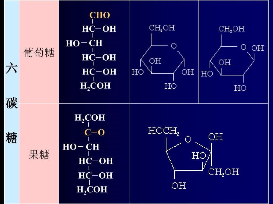 多糖降解PPT精选文档_第5页