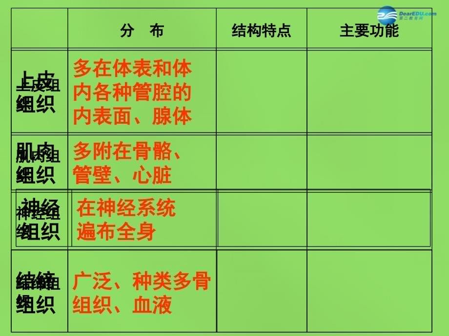 人教初中生物七上《第2单元 第2章 第2节 动物体的结构层次》PPT课件 (10)_第5页