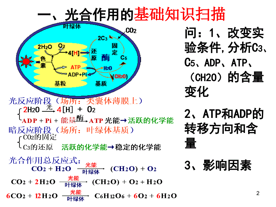 高考二轮复习光合作用与呼吸作用专题课件_第2页