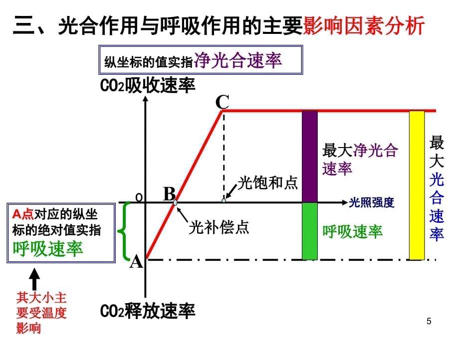 高考二轮复习光合作用与呼吸作用专题课件_第5页