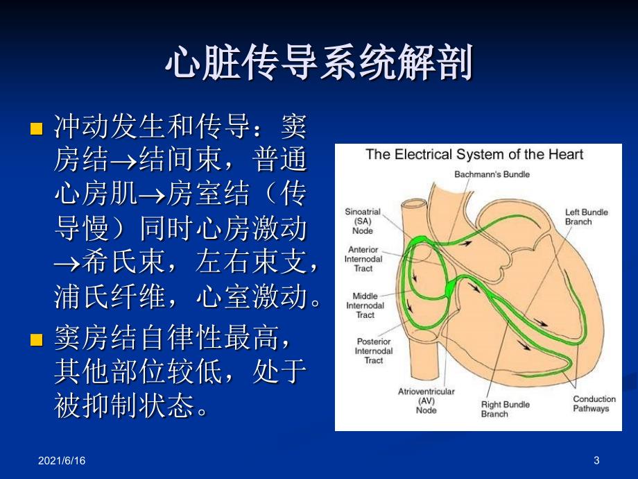 心律失常 -全面讲解_第3页