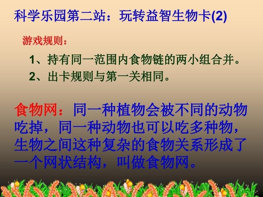 2019年五年级科学上册 1.5 食物链和食物网课件5 教科版.ppt_第5页