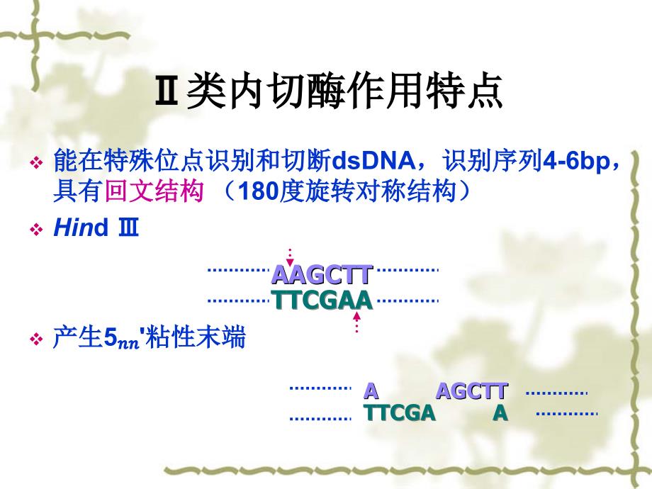 酶切回收连接_第4页